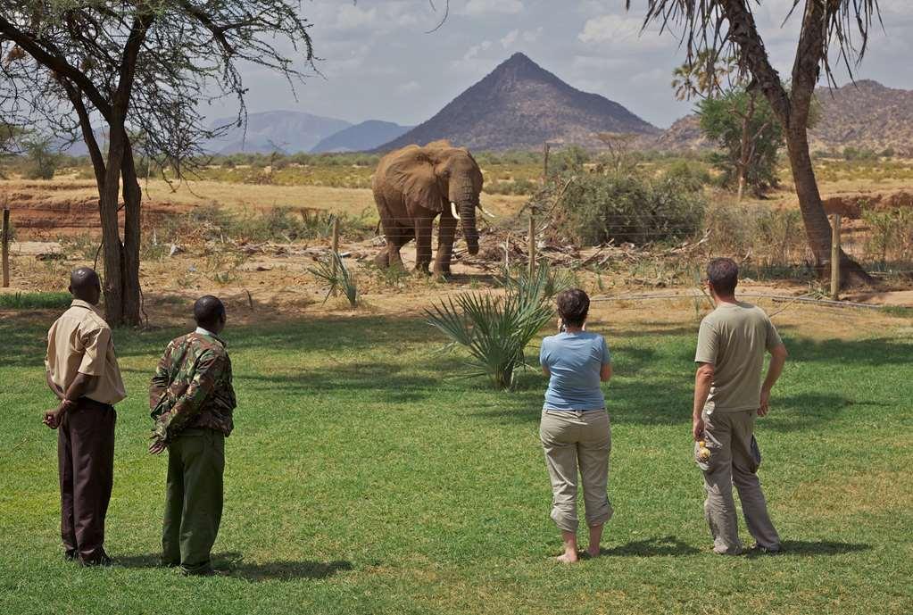 Отель Ashnil Samburu Camp Экстерьер фото